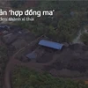 Một khu xưởng tập kết, tuyển xít than của doanh nghiệp tư nhân bên ngoài Mỏ than Phấn Mễ. (Ảnh: P.V/Vietnam+)