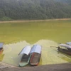 Mặt hồ Gò Miếu phủ một lớp váng vàng như mỡ động vật. (Ảnh: P.V/Vietnam+)
