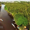 Phát triển du lịch đồng bằng sông Cửu Long. (Nguồn: TTXVN)