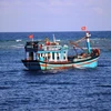 Tàu thuyền đánh bắt cá của ngư dân neo đậu tại khu vực Đảo Thuyền Chài B. (Ảnh: H.V/Vietnam+)