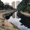 Các sông ở nội thành Hà Nội, nước sông vẫn tục bị ô nhiễm nặng. (Ảnh: Hùng Võ/Vietnam+)