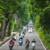 Con đường Hoàng Diệu, một trong những con đường đẹp nhất Thủ đô với hàng cây xà cừ cổ kính. (Ảnh: Minh Sơn/Vietnam+)