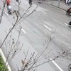 Hàng cây phong lá đỏ trên tuyến đường Trần Duy Hưng-Nguyễn Chí Thanh khẳng khiu, héo khô, không có lá. (Ảnh: Hùng Nguyễn/Vietnam+)