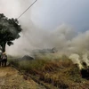 Đốt rơm rạ gây khói mù tại khu vực các xã huyện Quốc Oai. (Ảnh: Trọng Đạt/TTXVN)