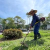 Nhân viên cây xanh Hà Nội đang căng mình làm việc dưới tiết trời nắng nóng gay gắt. (ảnh chụp sáng ngày 21/6/2021). (Ảnh: Minh Hiếu/Vietnam+)