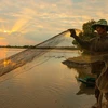 Đánh bắt cá tại cánh đồng ngập lũ cuối mùa ở huyện Vị Thủy, tỉnh Hậu Giang. (Ảnh: Duy Khương/TTXVN)