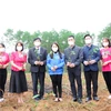 Trồng mới 5,6 triệu cây quế và 4.100 cây bóng mát trên địa bàn huyện Cam Lộ, tỉnh Quảng Trị. (Ảnh: Bộ TN-MT)