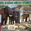 Sản phẩm chế tác từ ngà voi được bày bán công khai, bất chấp các khẩu hiệu chống lại việc này. (Ảnh: Hùng Võ/Vietnam+)