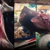 Theo lời bà Tình, một cân thịt lợn rừng vận chuyển từ Lào về thành phố Đồng Hới (tỉnh Quảng Bình) có giá bán là 150.000 đồng. (Ảnh: HV/Vietnam+)