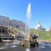 Cung điện mùa Hè (Peterhof) là quần thể kiến trúc lộng lẫy với 7 công viên, 20 lâu đài và tiền sảnh, 140 đài phun nước đặc biệt. (Ảnh: Hùng Võ/Vietnam+)