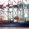 Đau đầu với hàng nghìn container bị “bỏ quên” ở cảng biển 