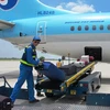 Nhân viên bốc dỡ hành lý của hành khách tại sân bay Nội Bài. (Ảnh: Việt Hùng/Vietnam+)
