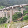 Cầu Cốc Pài được khánh thành, cải thiện giao thông Hà Giang-Lào Cai