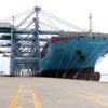 Tàu container "siêu khủng" Margrethe Maersk cập cảng CMIT thành công. (Ảnh: Đoàn Mạnh Dương/TTXVN)