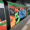 Toa tàu của đường sắt đô thị Cát Linh-Hà Đông bị kẻ xấu vẽ tranh Graffiti đè lên màu sơn chủ đạo của mẫu tàu được thiết kế. (Ảnh: Otofun.net)