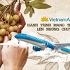 Nhãn lồng Hưng Yên sẽ được phục vụ trên những chuyến bay của Vietnam Airlines