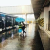 Nhân viên phục vụ mặt đất Vietnam Airlines cầm ô che cho hành khách khi lên xe ôtô, tránh bị mưa tại sân bay Tân Sơn Nhất. (Ảnh: Anh Tuấn/VNA)
