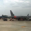 Vietnam Airlines, Jetstar vận chuyển đào, mai dịp Tết Nguyên Đán. (Ảnh: Việt Hùng/Vietnam+)