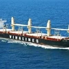 Đội tàu trong nước có đủ khả năng đáp ứng nhu cầu vận tải xuất nhập khẩu. (Nguồn ảnh: Vinalines)