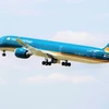 Máy bay Boeing 787-10 của hãng hàng không Vietnam Airlines. (Ảnh: CTV/Vietnam+)