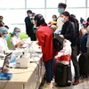 Lực lượng y tế làm thủ tục khai báo y tế bắt buộc đối với hành khách tại Cảng hàng không quốc tế Nội Bài. (Ảnh: Doãn Tấn/TTXVN)