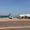 Máy bay của hai hãng hàng không Vietnam Airlines và Bamboo Airways. (Ảnh: CTV/Vietnam+)