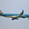 Hệ số sử dụng ghế bay của Vietnam Airlines chỉ mới lấp đầy 86%. (Ảnh: CTV/Vietnam+)