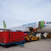 Máy bay của hãng hàng không Bamboo Airways vận chuyển miễn phí thiết bị y tế và dụng cụ phòng chống dịch COVID-19 đến chi viện cho tỉnh Hải Dương. (Ảnh: CTV/Vietnam+)