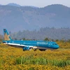 Vietnam Airlines đồng loạt mở các đường bay nội địa trong dịp cao điểm Hè. (Ảnh: CTV/Vietnam+)