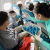 Hành khách “nhí” nhận món quà lưu niệm là chiếc móc khóa sao biển nhồi bông từ Vietnam Airlines trên chuyến bay tới Phú Quốc nhằm bảo vệ sao biển. (Ảnh: CTV/Vietnam+)