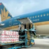 Vận chuyển hàng hóa giúp các hãng bay có dòng tiền để xoay vòng vốn nhằm duy trì hoạt động và vượt qua khủng hoảng. (Ảnh: CTV/Vietnam+)