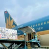 Siêu máy bay Boeing 787-9 của hãng hàng không Vietnam Airlines vận chuyển vải thiều vào Thành phố Hồ Chí Minh. (Ảnh: CTV/Vietnam+)