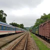 Vận tải hàng hóa đường sắt đã hỗ trợ về doanh thu cho Tổng công ty Đường sắt Việt Nam trước ảnh hưởng của dịch COVID-19. (Ảnh: CTV/Vietnam+)
