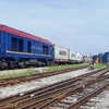 Đoàn tàu của Tổng công ty Đường sắt Việt Nam chở hàng hóa từ Việt Nam sang châu Âu. (Ảnh: CTV/Vietnam+)
