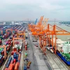 Các hãng tàu phải công khai cước, phụ thu vận tải container tại Việt Nam. (Ảnh: CTV/Vietnam+)