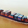 Tự tăng giá vận chuyển container hiện nay diễn ra trên toàn cầu. (Ảnh: CTV/Vietnam+)