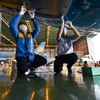 Nhân viên sửa chữa, bảo dưỡng máy bay Vietnam Airlines trước khi đưa vào khai thác. (Ảnh: Vietnam+)