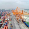 Cảng biển đóng vai trò quan trọng trong vận tải hàng hóa quốc tế. (Ảnh: CTV/Vietnam+)
