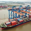 Bốc xếp dỡ hàng hóa tại một cảng biển. (Ảnh: CTV/Vietnam+)
