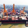 Bốc xếp hàng hóa container tại cảng biển Hải Phòng. (Ảnh: CTV/Vietnam+)
