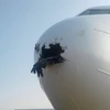 Con chim va vào máy bay làm thủng phần đầu máy bay. (Nguồn: Usamah Mohamed)