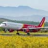 Vietjet bố trí hai chuyến bay miễn phí đưa công nhân về quê đón Tết. (Ảnh: CTV/Vietnam+)