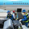 Nhân viên bốc xếp hành lý từ hầm hàng máy bay. (Ảnh minh hoạ. Nguồn: Việt Hùng/Vietnam+)