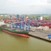 Bốc xếp hàng hóa container tại một cảng biển của Việt Nam. (Ảnh: PV/Vietnam+)