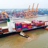 Một tàu biển vận chuyển hàng hóa container tại cảng biển Việt Nam. (Ảnh: PV/Vietnam+)