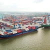 Bốc xếp hàng hóa container tại một cảng biển Việt Nam. (Ảnh: PV/Vietnam+)