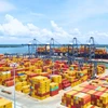 Hãng vận tải biển MSC lấy hàng hóa container tại một bến cảng Việt Nam. (Ảnh: PV/Vietnam+)