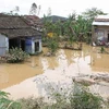 Ngập lụt tại Đà Nẵng. (Nguồn: TTXVN)