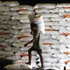 Indonesia sản xuất gạo đạt thặng dư kỷ lục năm 2013