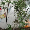 Một vụ cháy rừng tràm tại Cà Mau. Ảnh minh họa. (Nguồn: TTXVN)